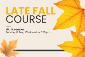 MCAT Late Fall Course