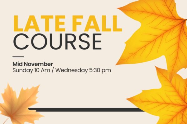 MCAT Late Fall Course