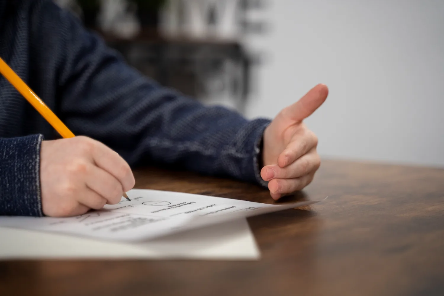 Consultation Services